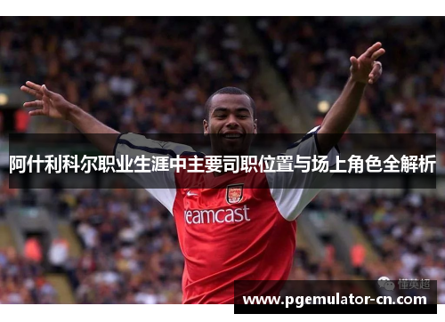 阿什利科尔职业生涯中主要司职位置与场上角色全解析 阿什利科尔职业生涯中主要司职位置与场上角色全解析