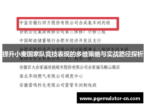 提升小麦国家队竞技表现的多维策略与实战路径探析