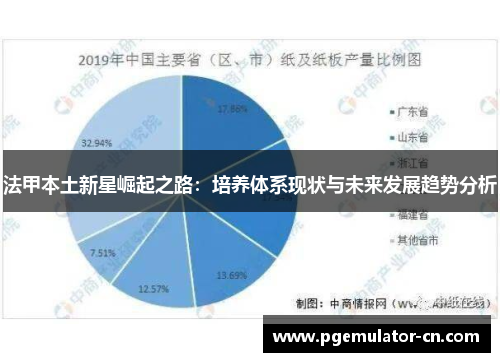 法甲本土新星崛起之路：培养体系现状与未来发展趋势分析