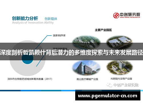 深度剖析哲凯赖什背后潜力的多维度探索与未来发展路径