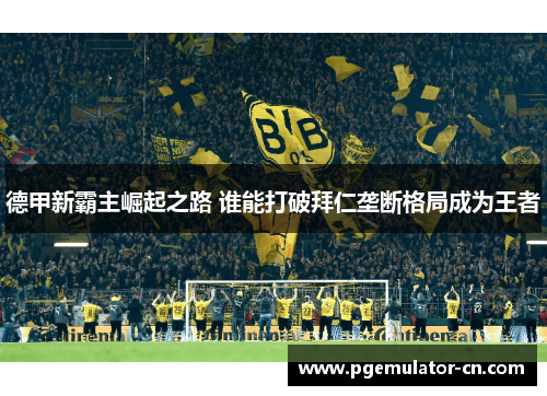 德甲新霸主崛起之路 谁能打破拜仁垄断格局成为王者