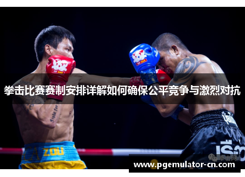拳击比赛赛制安排详解如何确保公平竞争与激烈对抗