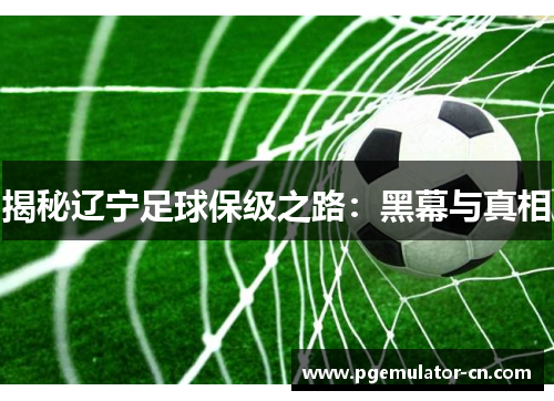 揭秘辽宁足球保级之路：黑幕与真相