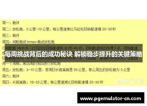 每周挑战背后的成功秘诀 解锁稳步提升的关键策略
