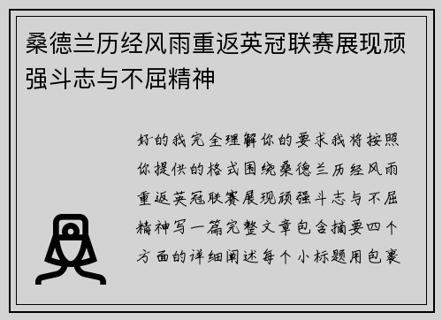 桑德兰历经风雨重返英冠联赛展现顽强斗志与不屈精神