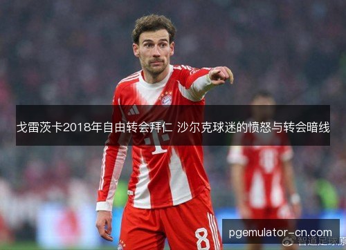 戈雷茨卡2018年自由转会拜仁 沙尔克球迷的愤怒与转会暗线 戈雷茨卡2018年自由转会拜仁 沙尔克球迷的愤怒与转会暗线